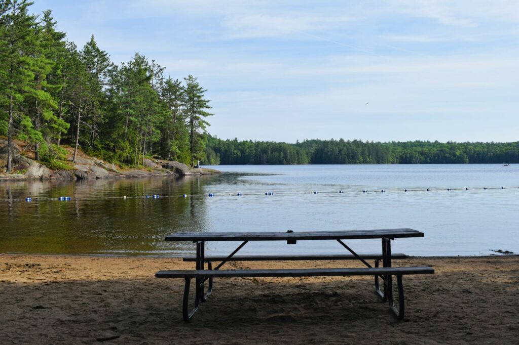 Zone de baignade balisée par une ligne de bouées sur un lac, baignade en milieu naturel